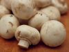 Domowa pieczarkarnia krok po kroku. Jak hodować pieczarki w domu? Pieczarki na stole