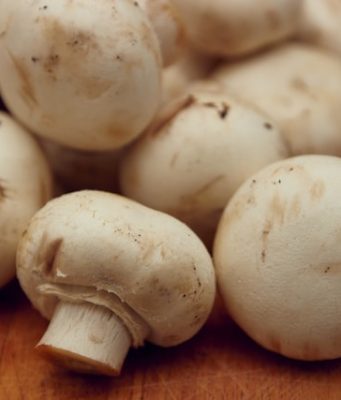 Domowa pieczarkarnia krok po kroku. Jak hodować pieczarki w domu? Pieczarki na stole