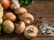 Pieczarka brązowa a biała – jakie podłoże pod uprawę pieczarki wybrać? Pieczarki