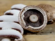 Czym się wyróżnia podłoże z wsianą grzybnią? Pieczarki